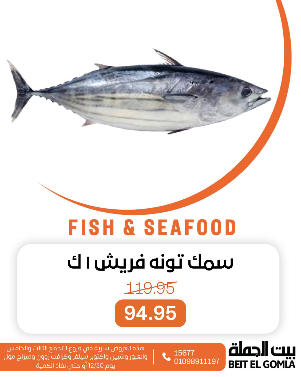 عروض بيت الجملة صفحة رقم 4